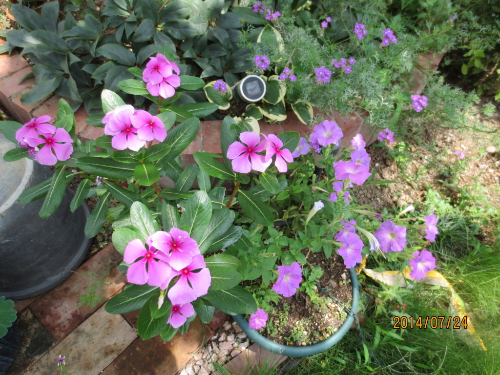 2014-07-24 2014-07-24 001 002