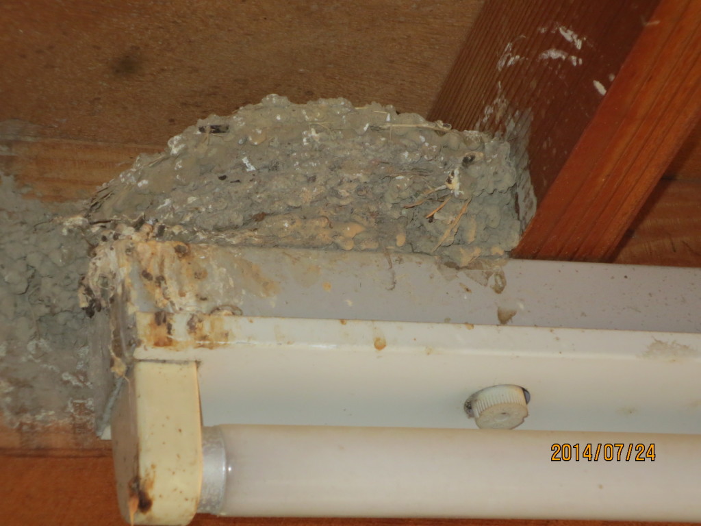 2014-07-24 2014-07-24 001 003