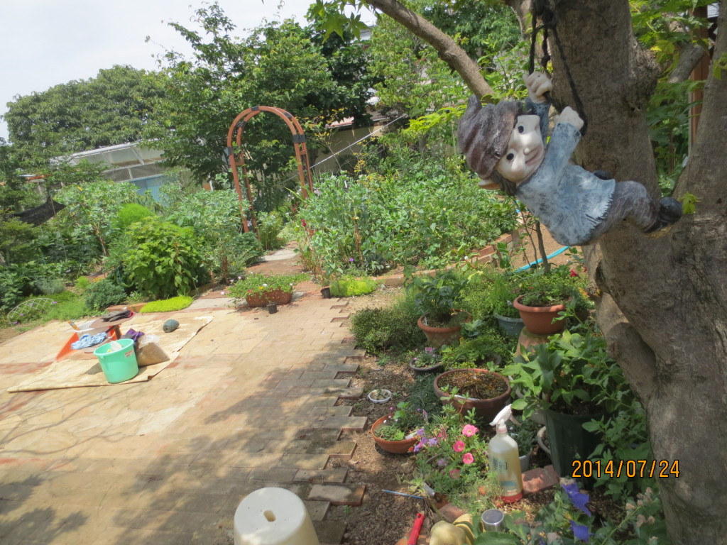 2014-07-24 2014-07-24 001 004