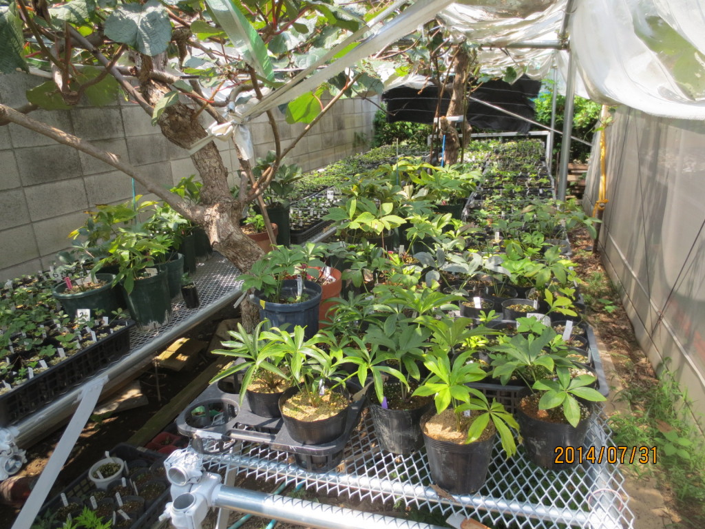 2014-07-31 2014-07-31 001 008