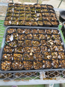 2014-08-14 2014-08-14 001 003