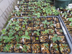 2014-08-14 2014-08-14 001 006