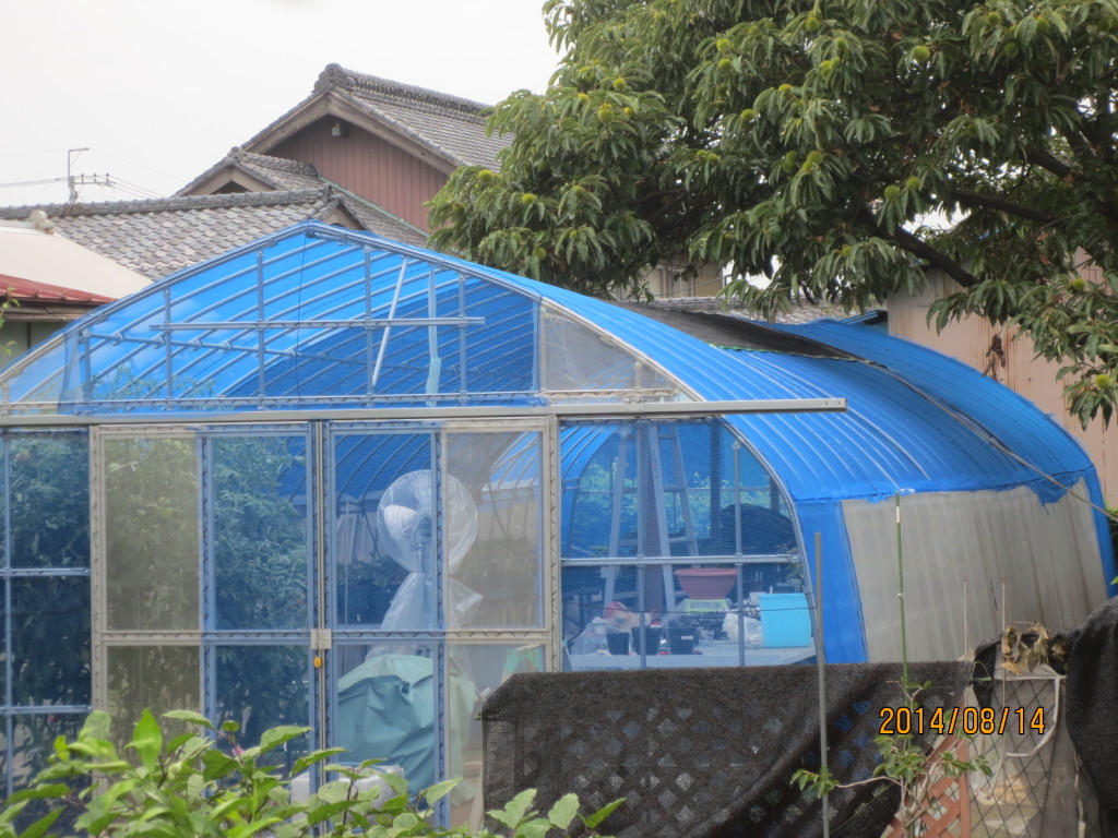 2014-08-14 2014-08-14 001 008