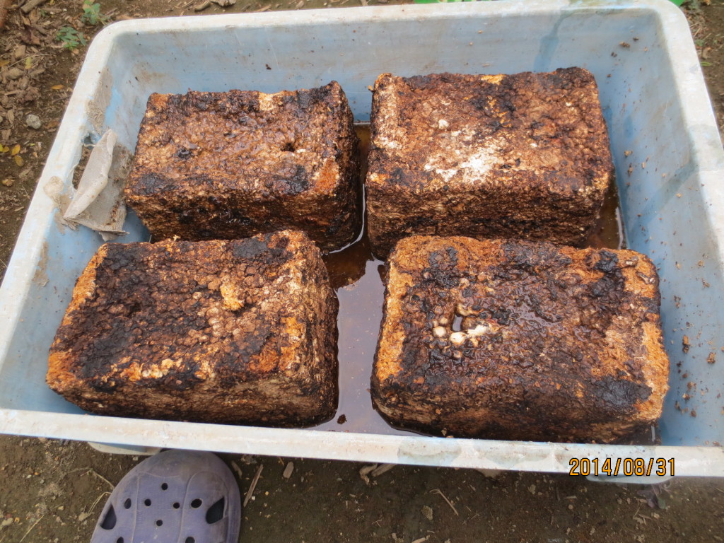 2014-08-31 2014-08-31 001 004