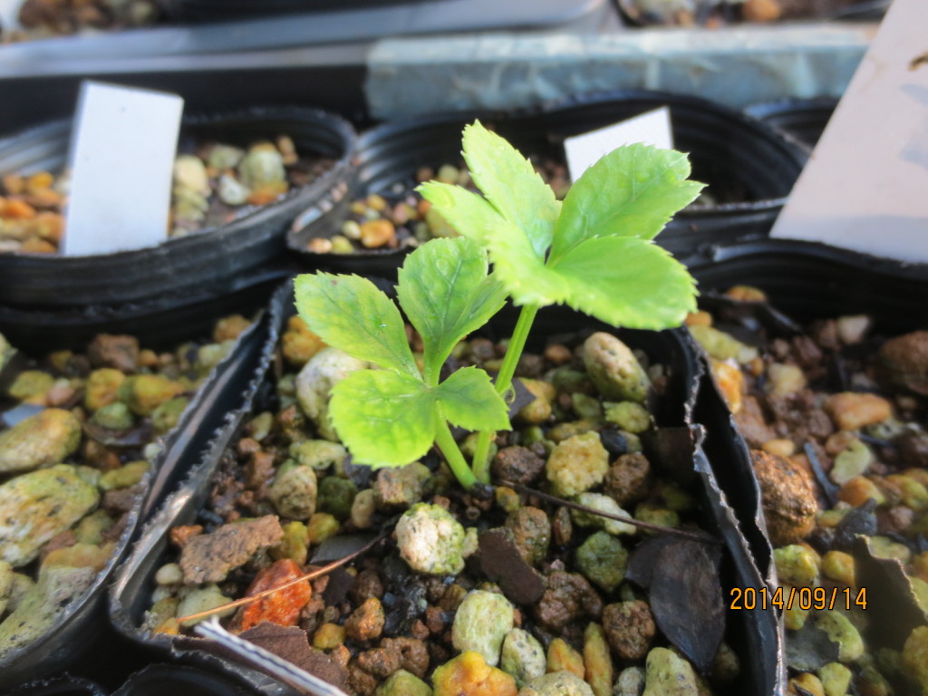 2014-09-14 2014-09-14 001 001