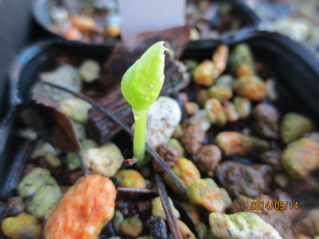 2014-09-14 2014-09-14 001 002