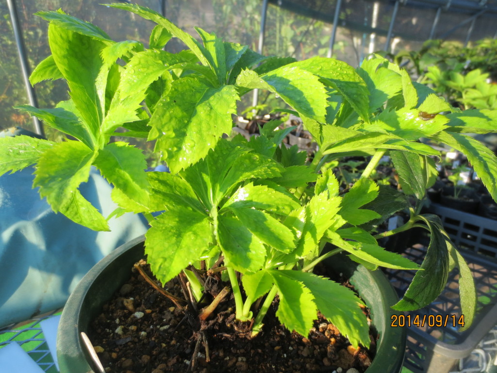 2014-09-14 2014-09-14 001 007