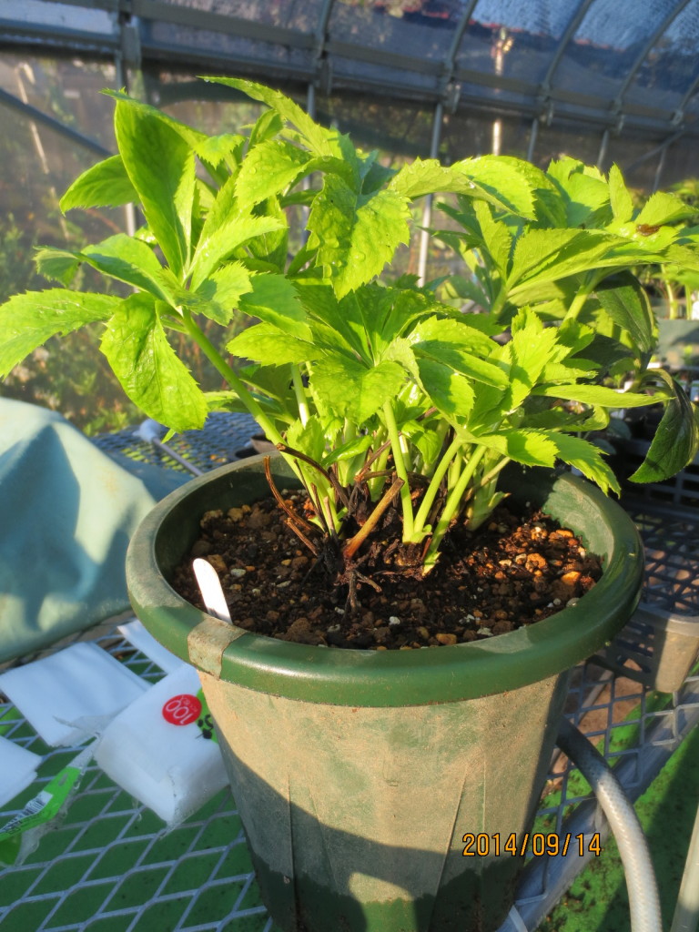 2014-09-14 2014-09-14 001 008