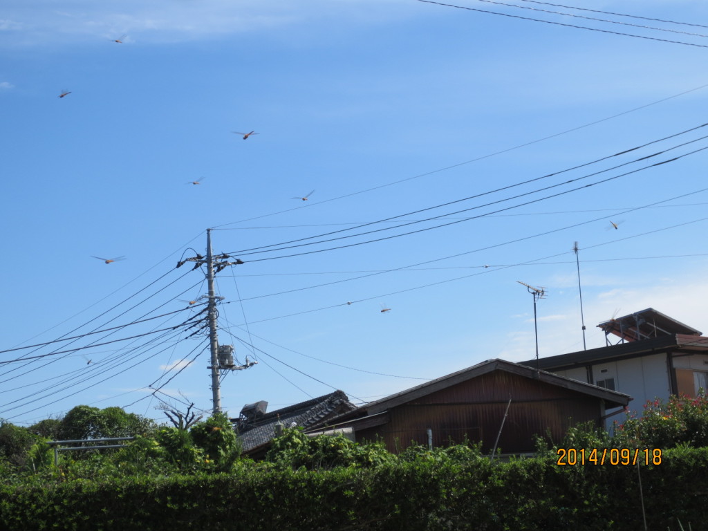 2014-09-18 2014-09-18 001 004