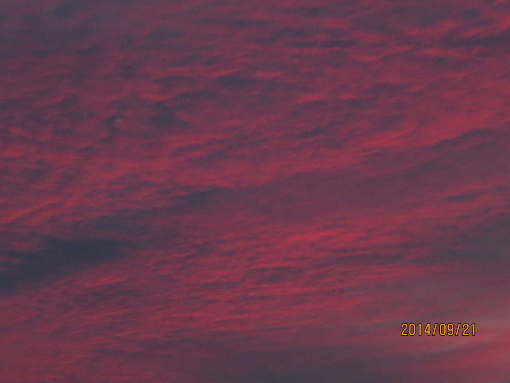 2014-09-21 2014-09-21 001 003