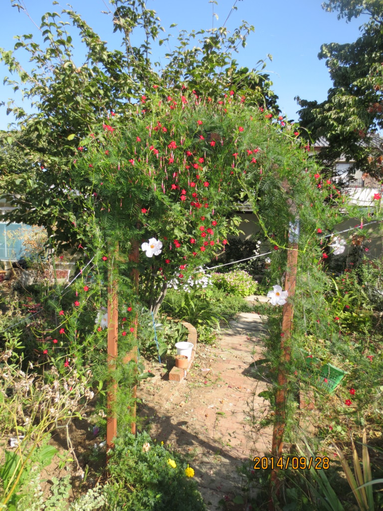 2014-09-28 秋日和Ｘクリロ 003