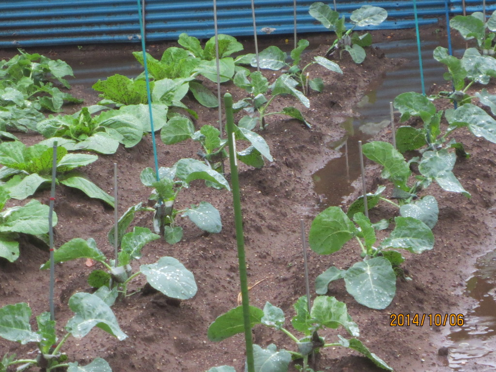 2014-10-06 2014-10-06 001 002