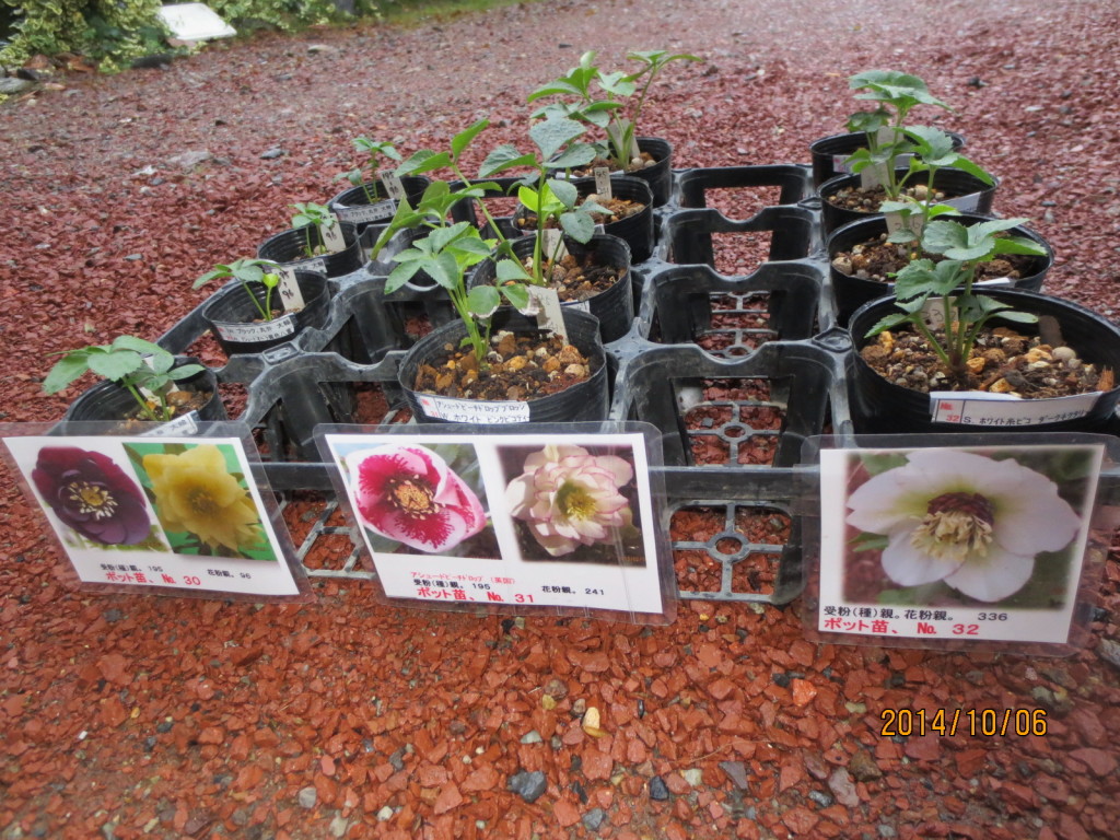 2014-10-06 2014-10-06 001 004