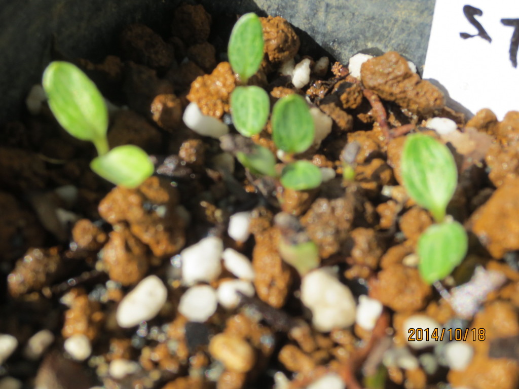 2014-10-18 2014-10-18 002 004