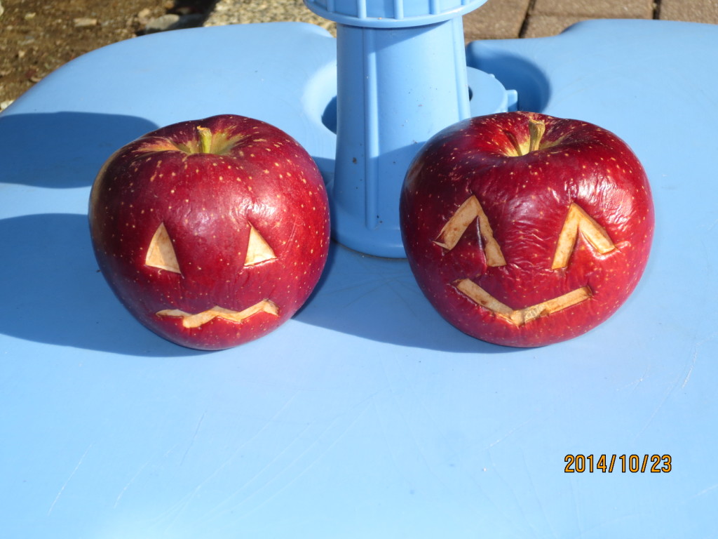 2014-10-23 2014-10-23 001 015