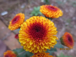 2014-10-31 2014-10-31 001 001