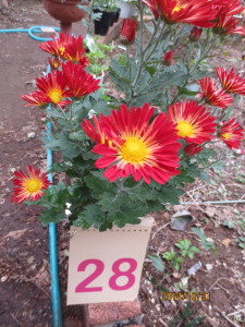 2014-10-31 2014-10-31 001 004