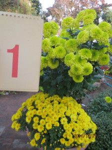 2014-10-31 2014-10-31 002 002