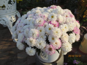 2014-10-31 2014-10-31 002 008