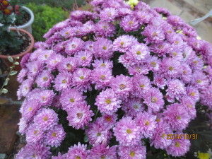 2014-10-31 2014-10-31 002 012