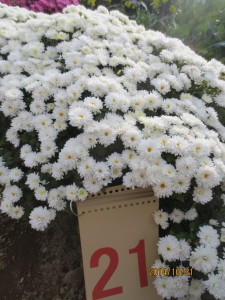 2014-10-31 2014-10-31 002 044