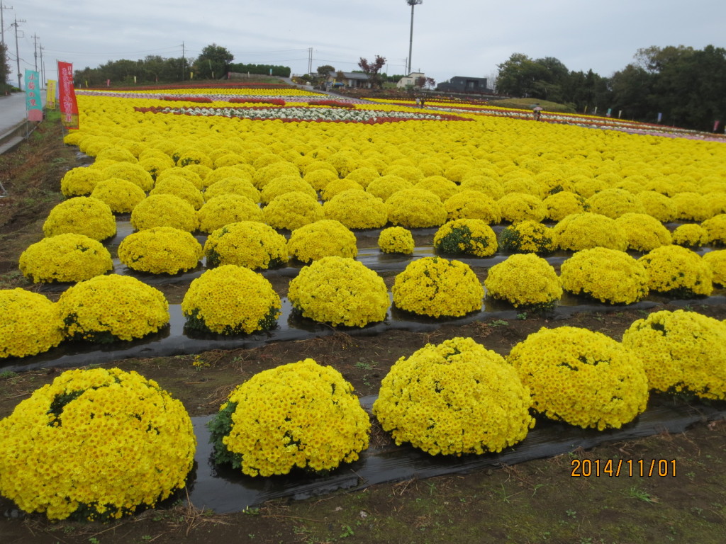 2014-11-01 2014-11-01 001 002