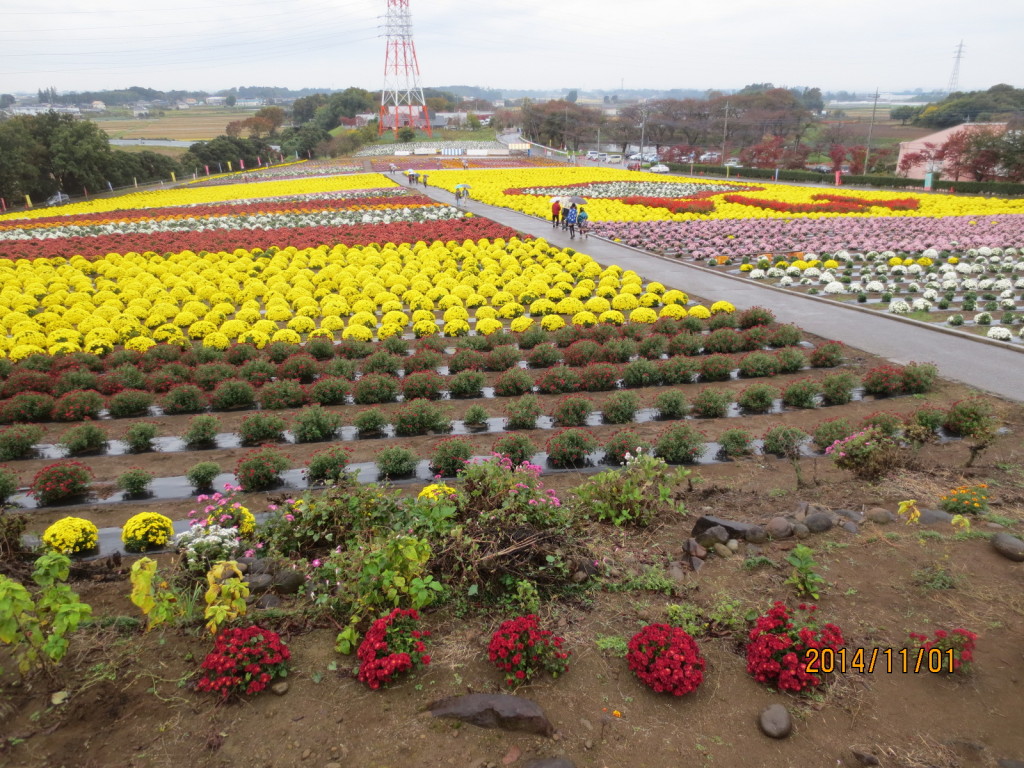 2014-11-01 2014-11-01 001 009