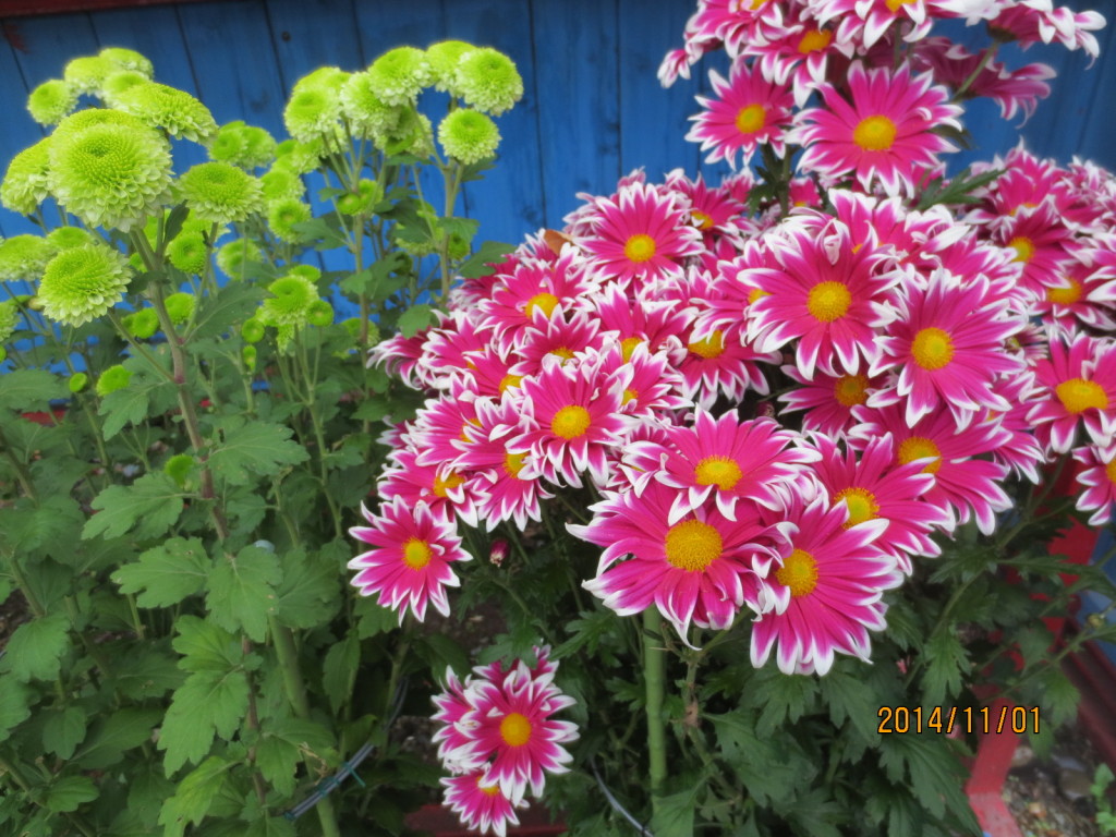 2014-11-01 2014-11-01 001 023