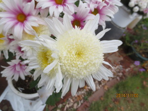 2014-11-02 2014-11-02 003 004