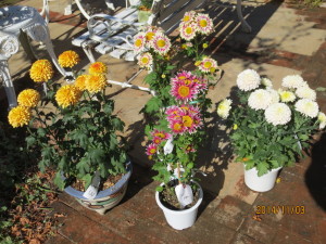 2014-11-03 2014-11-03 002 005