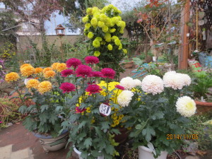 2014-11-05 2014-11-05 001 002