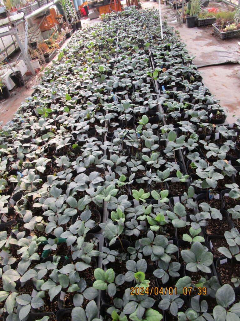 画像に alt 属性が指定されていません。ファイル名: IMG_2603-1-768x1024.jpg