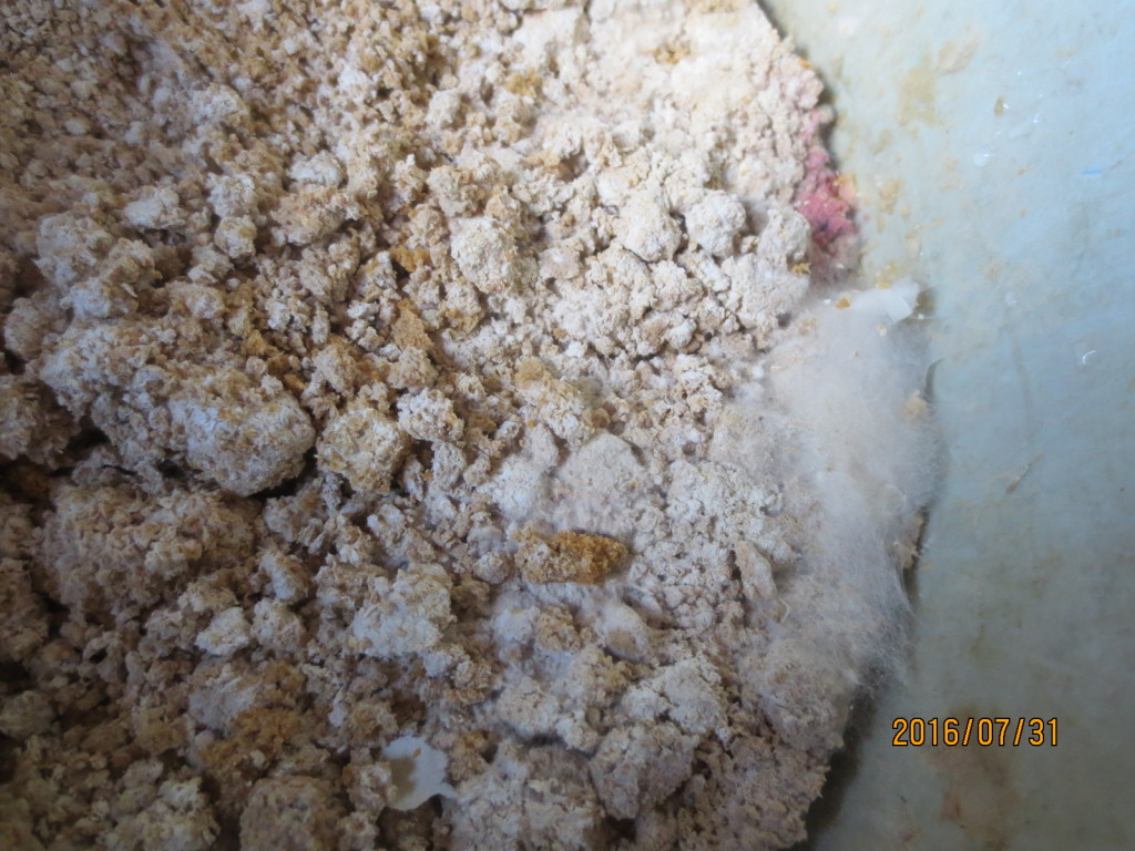 IMG_7428 - コピー - コピー