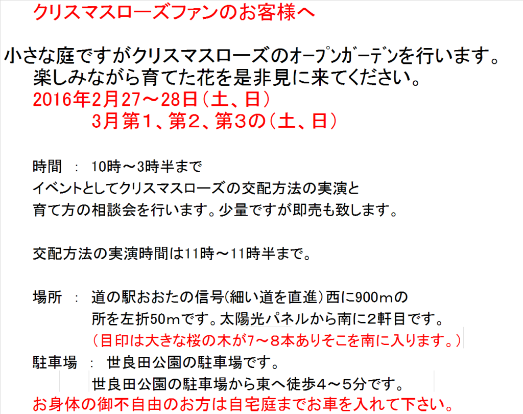 ｵｰﾌﾟﾝｶﾞｰﾃﾞﾝ